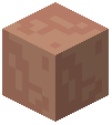 Villager Head