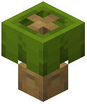 Green Lamp