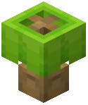 Lime Lamp