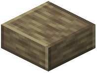 Polished Shellstone Slab