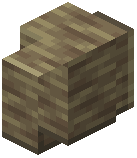 Polished Shellstone Wall