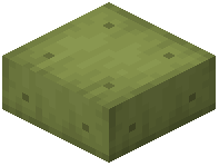 Lime Reinforced Concrete Slab