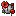 Rose Shield