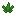 Cannabis