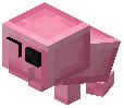 Temperate Pig Plushie