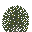 Bush