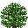 Bush