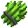 Some Sugar Canes