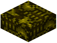 Aberrant Resin Bone Slab