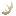 Antler