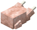 Raw Turkey