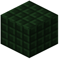 Armz 6