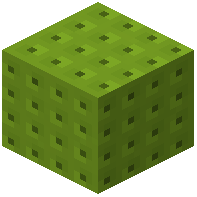 Lime Zeno 20