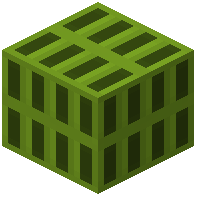 Lime Zeno 22