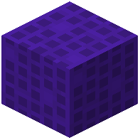 Purple Zeno 16