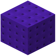 Purple Zeno 20