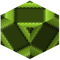 Lime Zoea 1