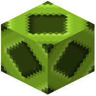 Lime Zoea 2