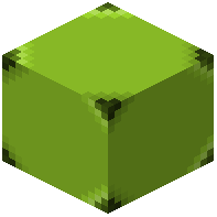 Lime Zoea 3