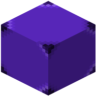 Purple Zoea 3