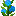 Blue Poppy