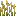 Feather Reed Grass