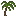 Palm Sapling