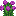 Purple Verbena