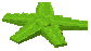 Lime Starfish