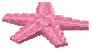 Pink Starfish