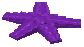 Purple Starfish