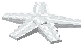 White Starfish