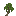 Swamp Willow Sapling
