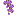Tenanea Flowers