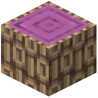 Tenanea Log
