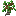 Bundle of Oak Saplings
