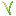 Rice Stalk