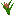 Common Rush