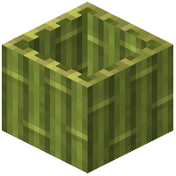 Hollow Bamboo Block