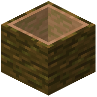 Hollow Jungle Log