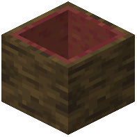 Hollow Mangrove Log