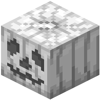 Skull Carved Pale Pumpkin