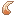 Hippo Tooth