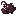 Raw Anglerfish