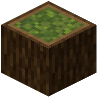 Spruce Garden Log