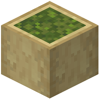 Stripped Birch Garden Log