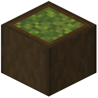 Stripped Dark Oak Garden Log