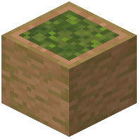Stripped Jungle Garden Log