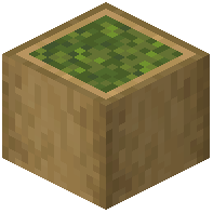 Stripped Oak Garden Log