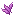 Magenta Petals